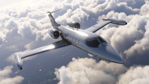 Flysimware Learjet 35A - N542SA thumbnail 4
