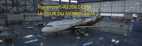 fnx-aircraft-320-CFM_MANON DES SOURCES