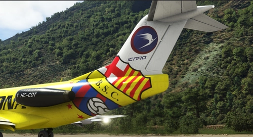 Fokker 28 - Icaro Air