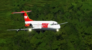 Fokker 28 - TAM  thumbnail 7
