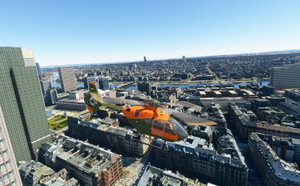 Frankfurt  tree removed thumbnail 2