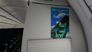 Frontier Airlines 'FlyFrontier.Com' | Pack | w/Cabin | Fenix A320 V2 (8K + 4K) thumbnail 9