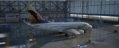 Frontier N307FL PMDG Boeing 737-600