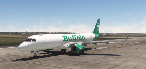 FSS E190F Buffalo Airways