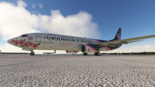 GlobalWings VA - PMDG 737-800 - JA341G