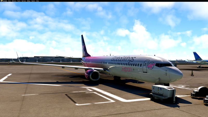 PMDG Boeing 737-900 Liveries for Microsoft Flight Simulator | MSFS ...