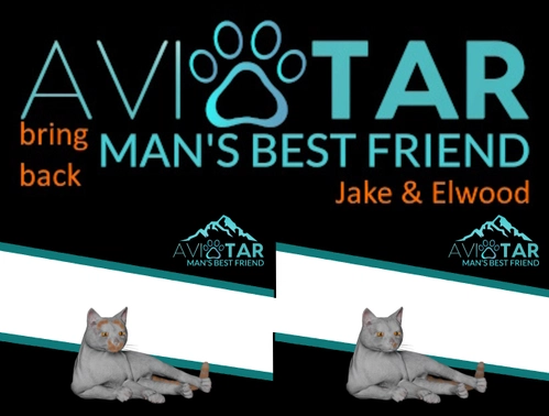GotFriends Avitar: Man's Best Friends Jake & Elwood