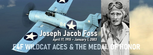 GotFriends F4F Wildcat ACES AND THE MEDAL OF HONOR 4K VMF121-JoeFoss