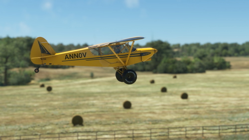 GotFriends Savage Carbon/Grravel Asobo Default Livery