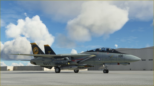 Grumman F-14 D Tomcat VF-31 Tomcatters