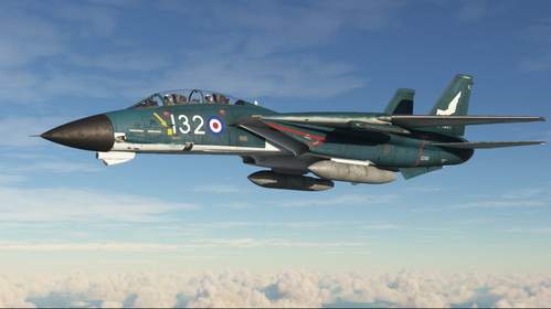 Grumman F-14 Tomcat Royal Navy