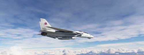 Grumman F-14 Tomcat Top Gun