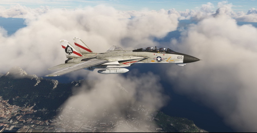 Grumman F-14 Tomcat VF-41 #100 1977