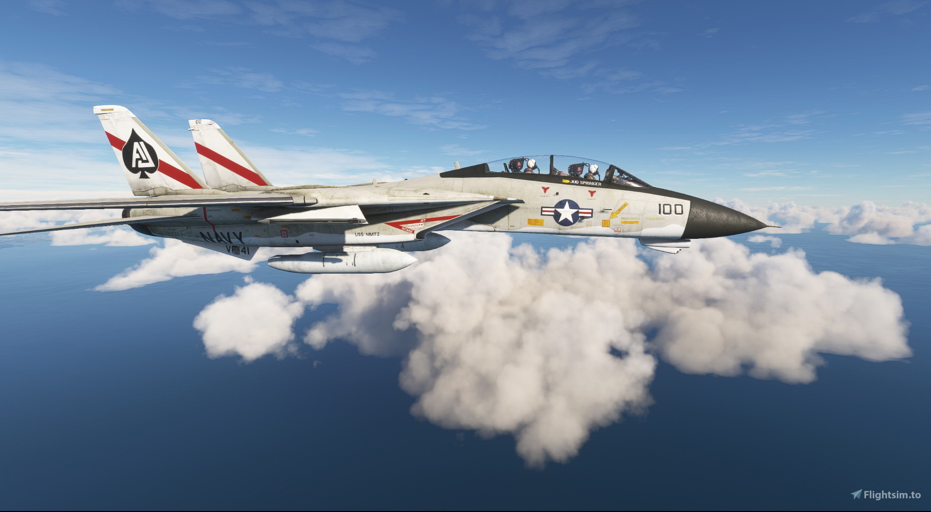 Grumman F-14 Tomcat VF-41 #100 1977 のために Microsoft Flight