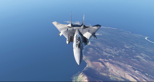 Grumman F-14 Tomcat VX-4 #45 Ferris scheme