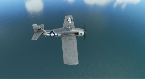 Grumman F4F-4 Wildcat VC-9 #14