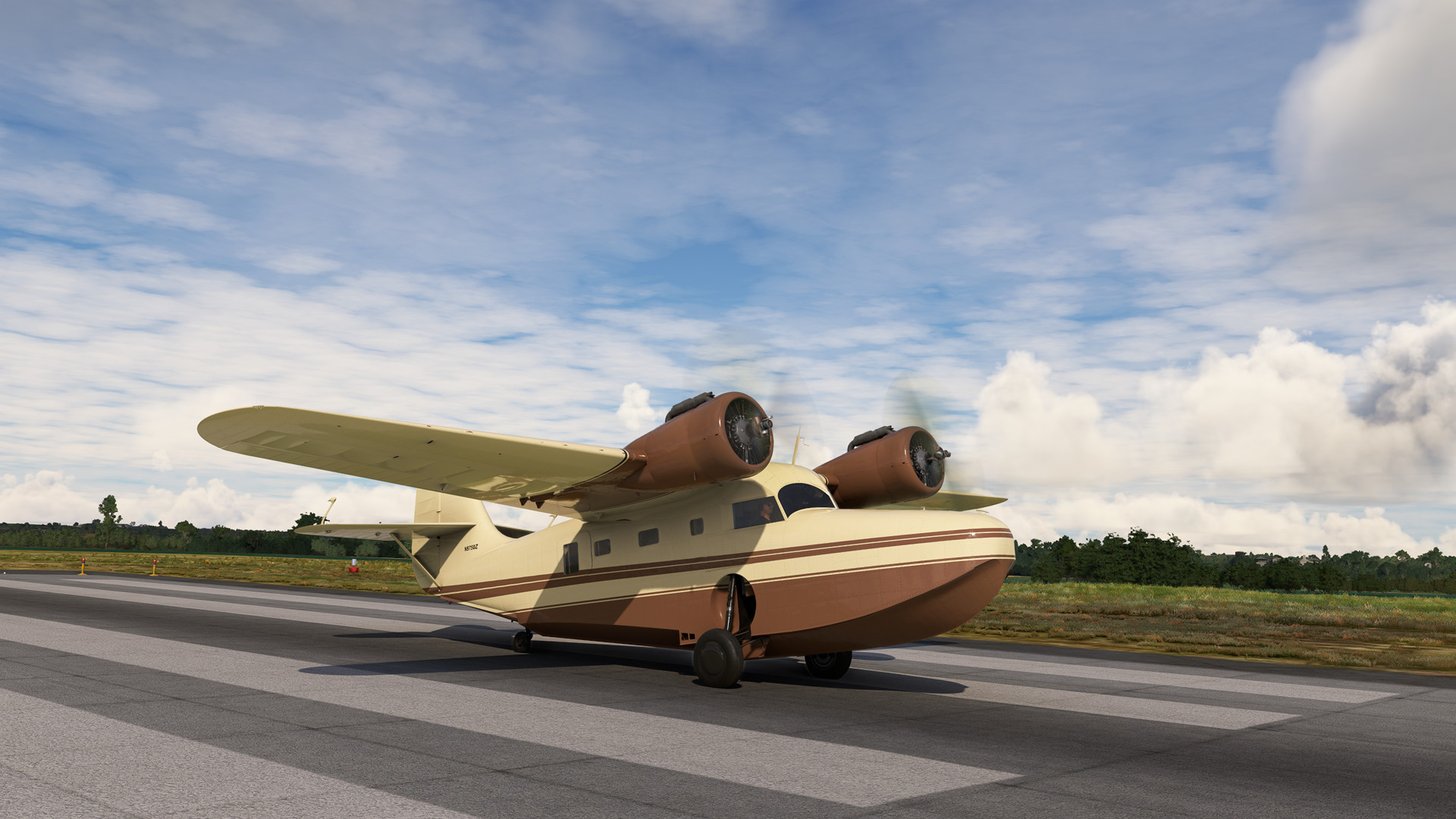 Grumman Goose G-21 Brown Livery - Image 1