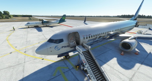 GSX Pro Ground Services PMDG B737-800 Aircraft Profile thumbnail 9
