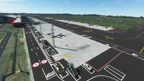 GSX Pro Profile - NMG Simulations FALE- King Shaka International Airport