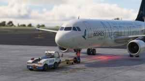 GSX Pro Profile for Ponta Delgada "João Paulo II" Airport (LPPD/PDL) by MK Studios thumbnail 11