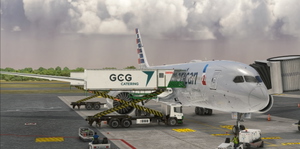 GSX Pro Profile - PortalFrame MSLP San Salvador Intl. Airport thumbnail 7