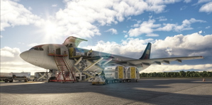 GSX Pro Profile - PortalFrame MSLP San Salvador Intl. Airport thumbnail 16