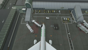 GSX Profile for Kaohsiung International Airport RCKH高雄國際機場 (ACO Studio) thumbnail 2