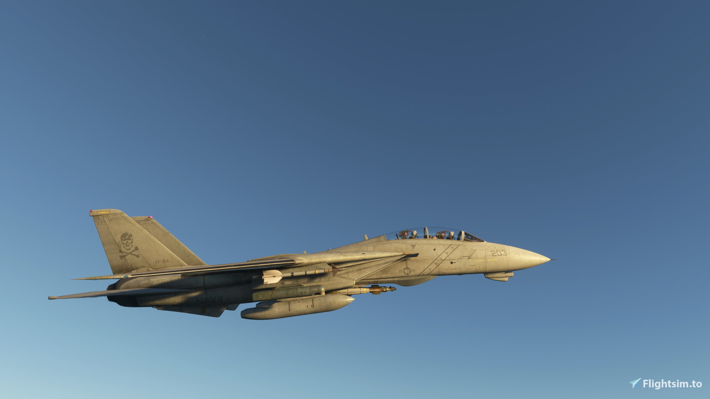 HB/IFE F-14A VF-84 LOW VIZ for Microsoft Flight Simulator | MSFS