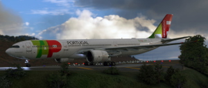 Headwind Simulations A339 TAP PORTUGAL CS-TUF thumbnail 11
