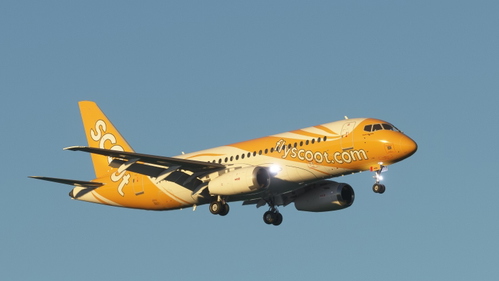 Headwind Simulations SU95 Scoot (Fictional) 9V-TCA