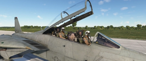 Heatblur+IFE F-14 Pilot Helmet (HGU-68) & Tan flight suit Mod