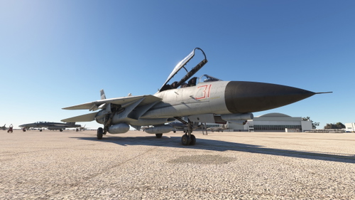 Heatblur/IFE F-14B Red-31 "Tomcatsky"