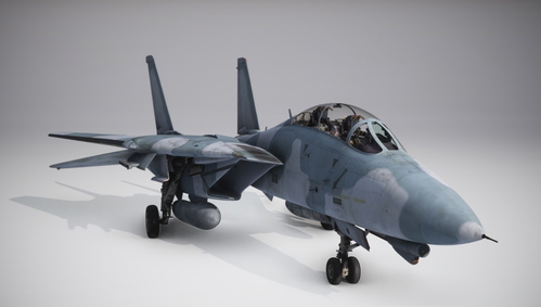 Heatblur/IndiaFoxtEcho F-14 French Style