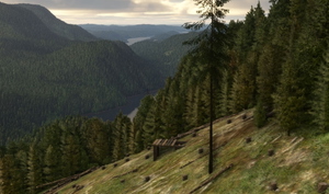Heli Forester thumbnail 2