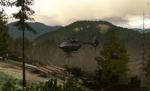 Heli Forester thumbnail 13