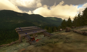 Heli Forester thumbnail 14