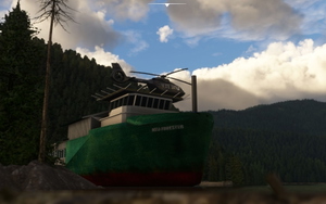 Heli Forester thumbnail 11