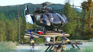 Heli Forester thumbnail 10