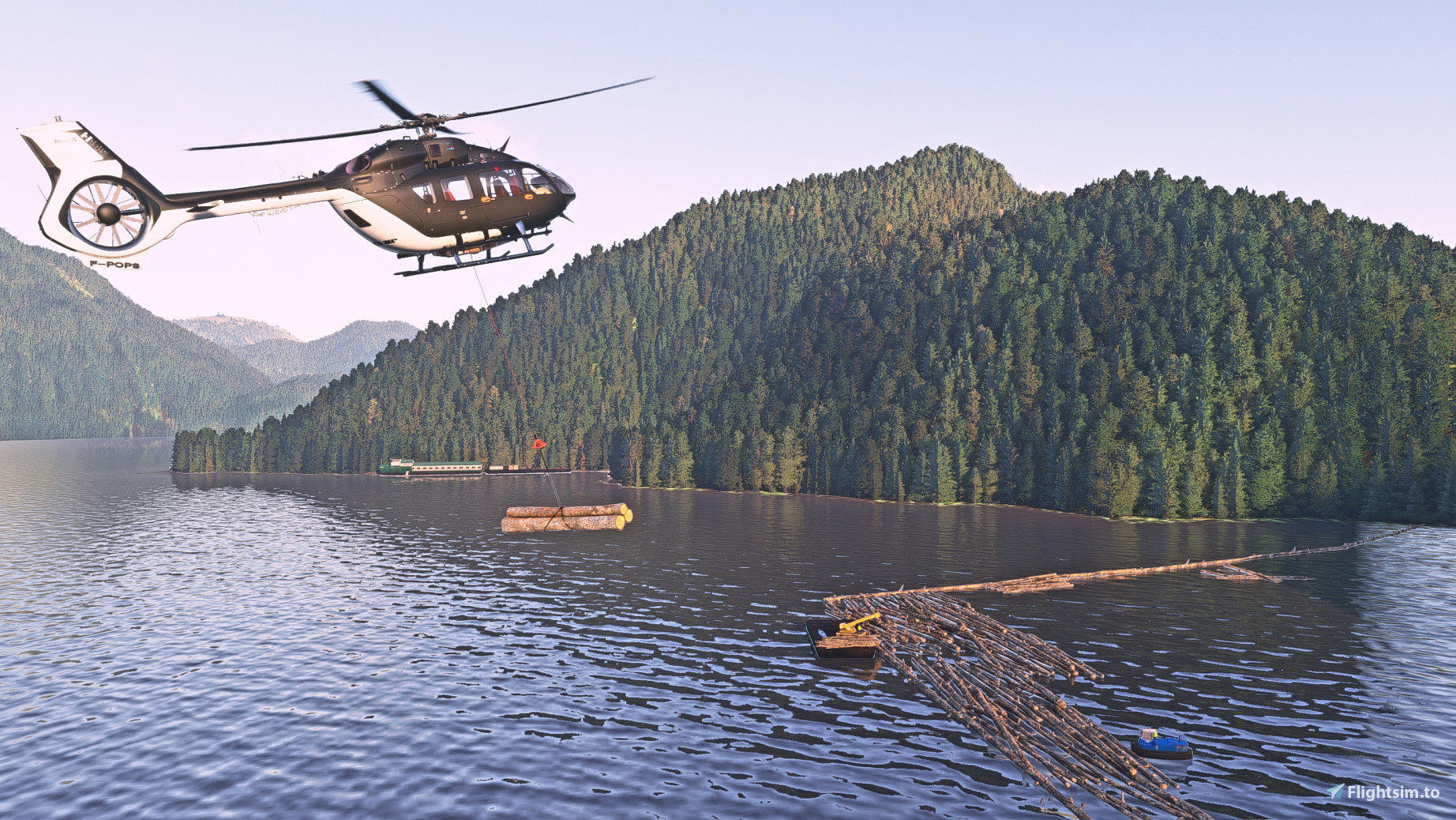 Heli Forester - Image 1