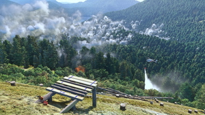 Heli Forester thumbnail 7