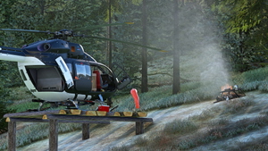 Heli Forester thumbnail 8