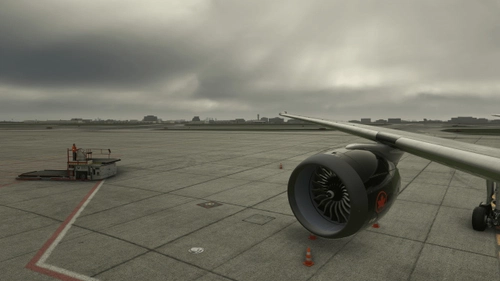 HORIZON 787-9 GENX AND RR CUSTOM VIEWS