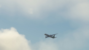 Horizon Sim Boeing 787-9 |  All Nippon Airways ANA Green Jet [JA871A] clean/dirty thumbnail 5