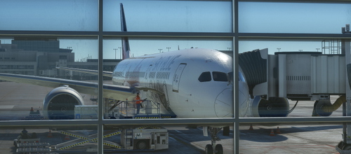 Horizon Simulation B787   Sky Blue Radio Livery