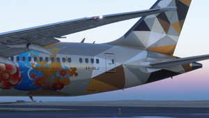 Horizon Simulations 787-9 - Etihad Airways Adnoc Fleet  thumbnail 5