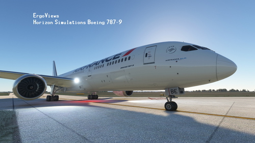 Horizon Simulations B787-9  Views - ErgoViews V1.0