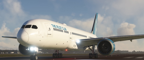 Horizon Simulations Boeing 787-9 - TPC
