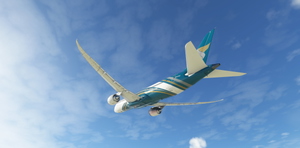 Horizon Simulations Boeing 787-9 | Oman Air  thumbnail 4