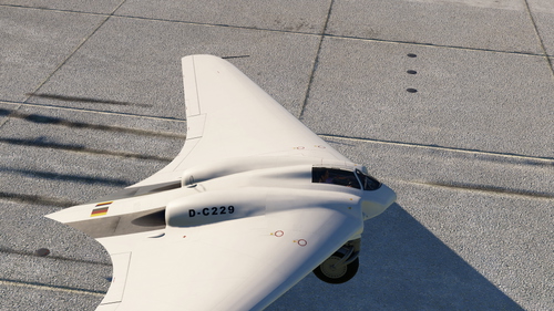 Horten IX (Ho229) Private Owner Civilian