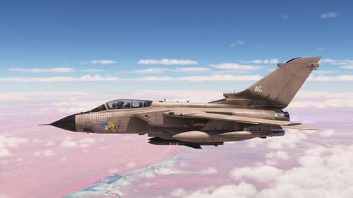 IFE Tornado GR-1 ZD739 "Armoured Charmer"